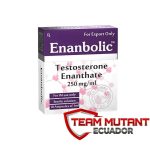 Enantato de testosterona Enanbolic 250mg 10ml Cooper Pharma
