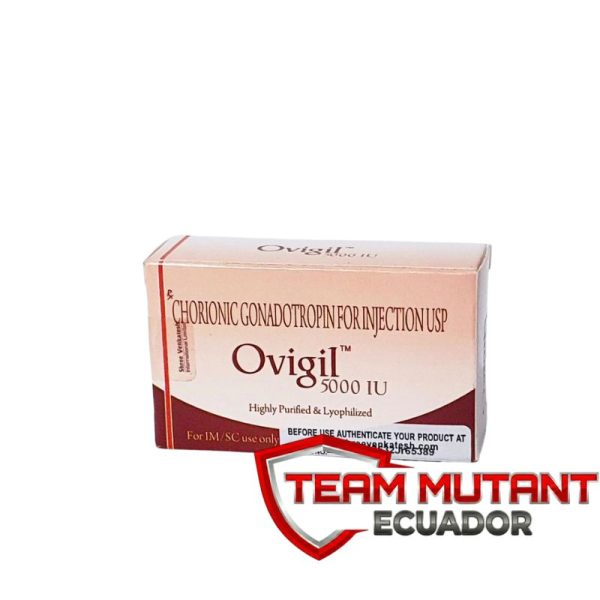 OVIGIL 5000 UI OVIGIL 5000 UI